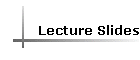 Lecture Slides