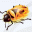 images/firebug-logo.gif